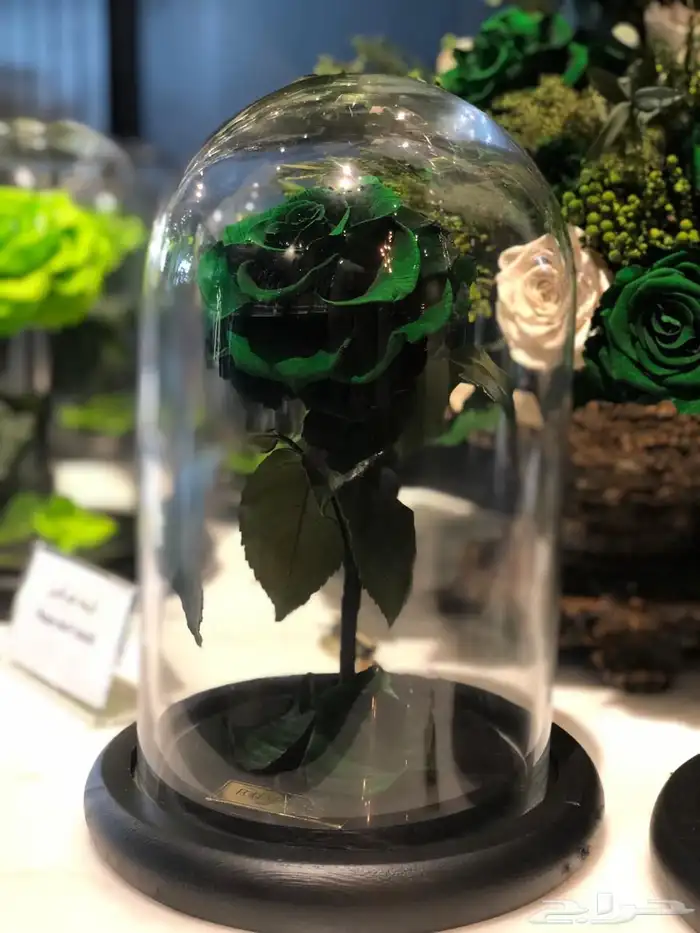 تقبيل محل ورد 9