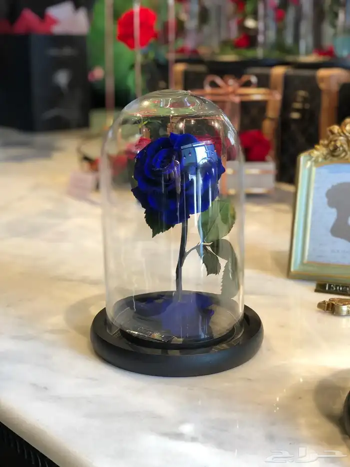 تقبيل محل ورد 7