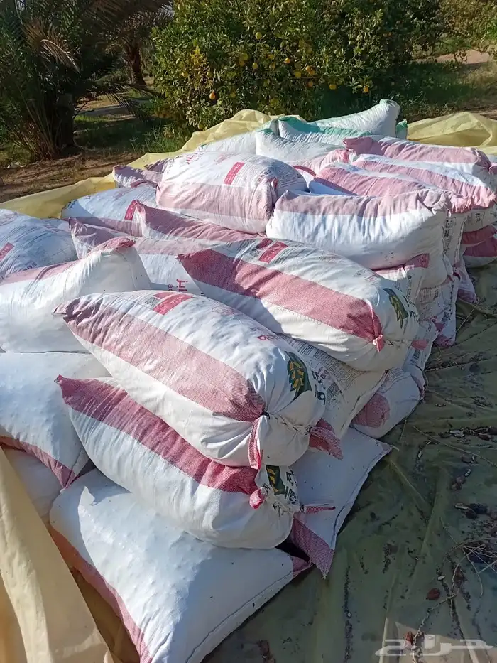 تمر ناشف علف للحلال 0