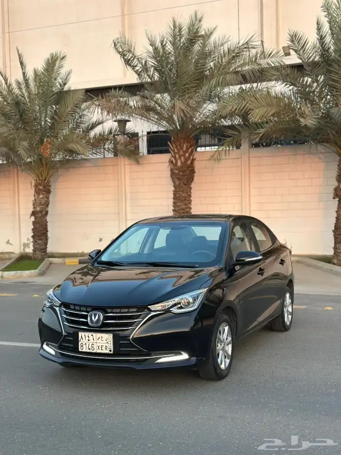 شانجان السفن 2024 فل كامل 2