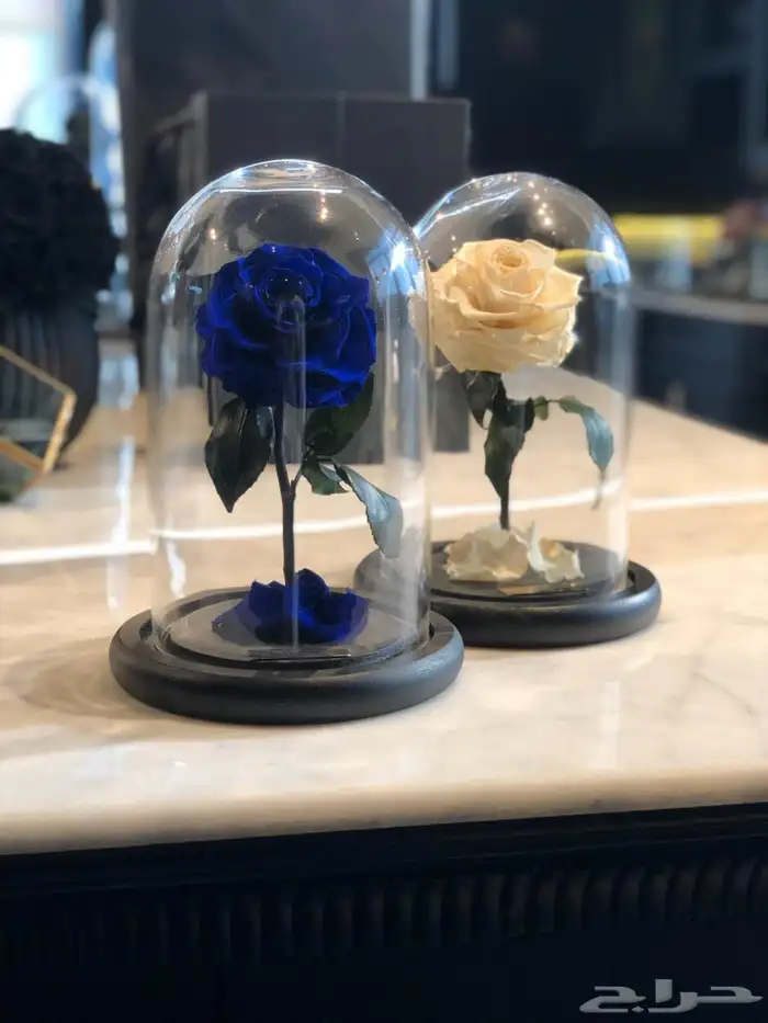 تقبيل محل ورد 27