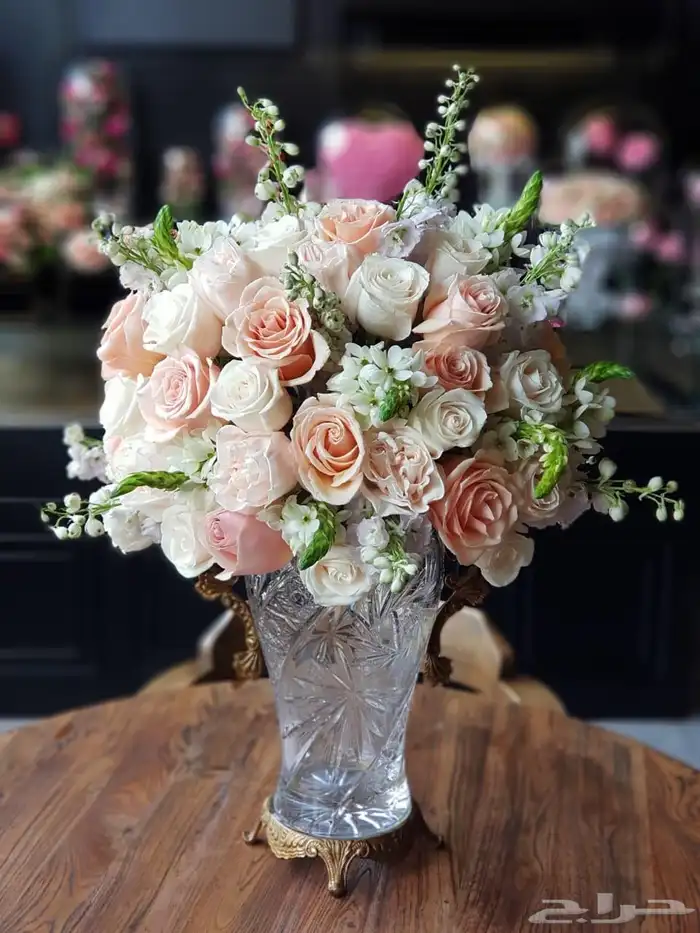 تقبيل محل ورد 24