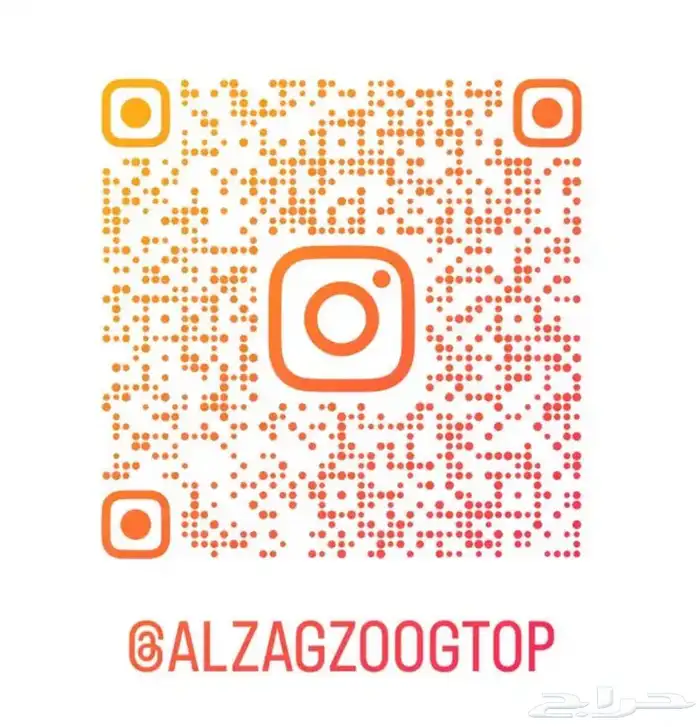 اكسبديشن 2020 فل كامل طويل سقف بانوراما بطاقة جمركية امريكي 13