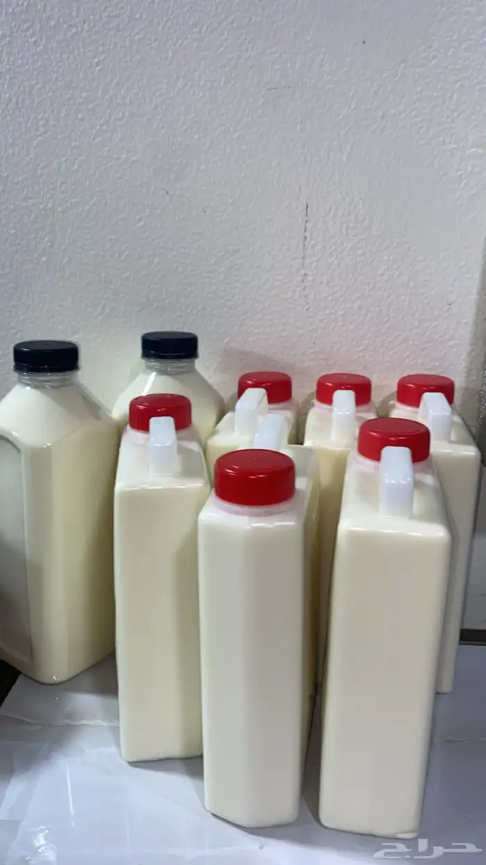 لبن غنم 3