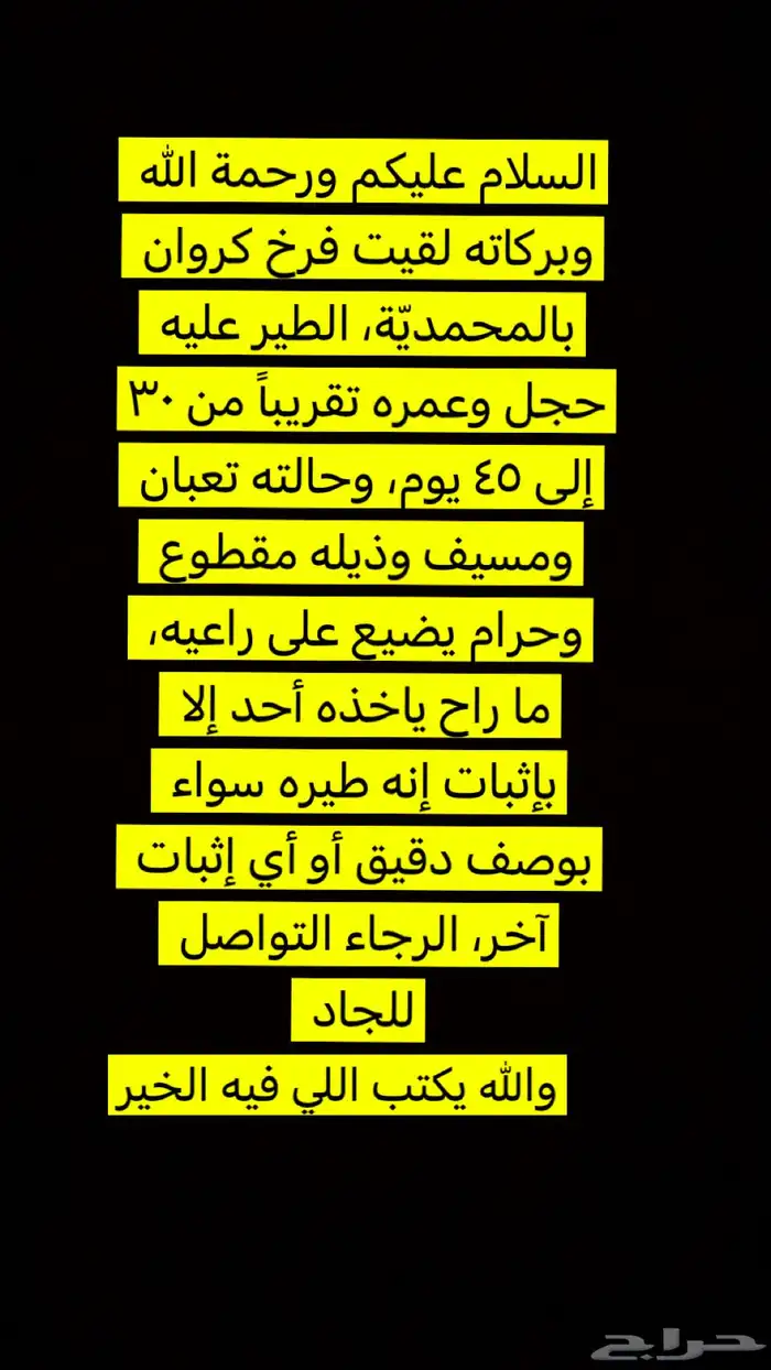 طيرك يمكن عندي  كروان عليه حجل 0