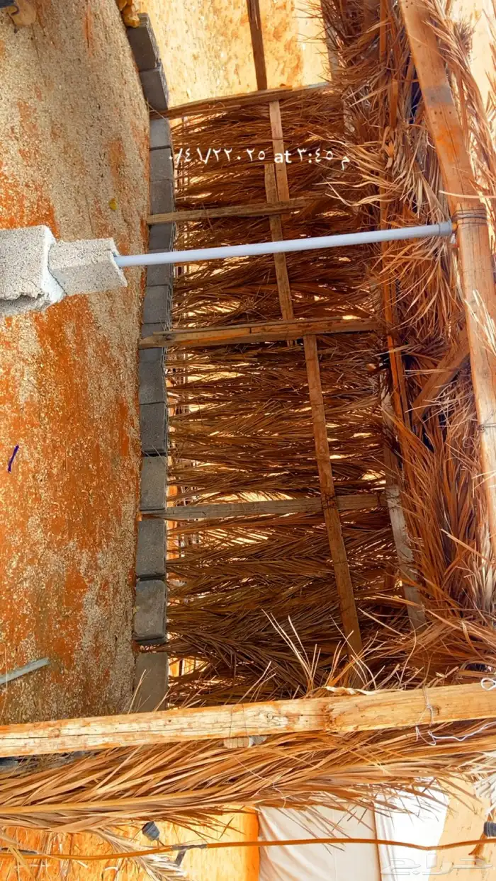 مخيم عوائل وعزاب 5