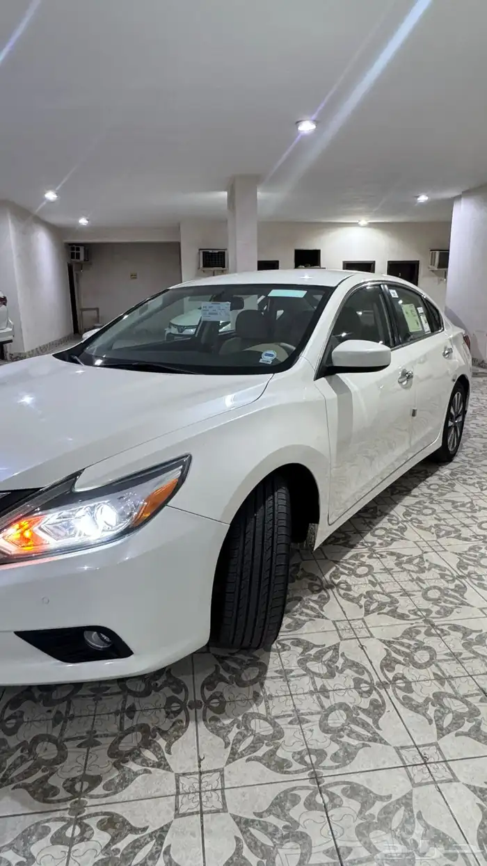 التيما نص فل 2017 1