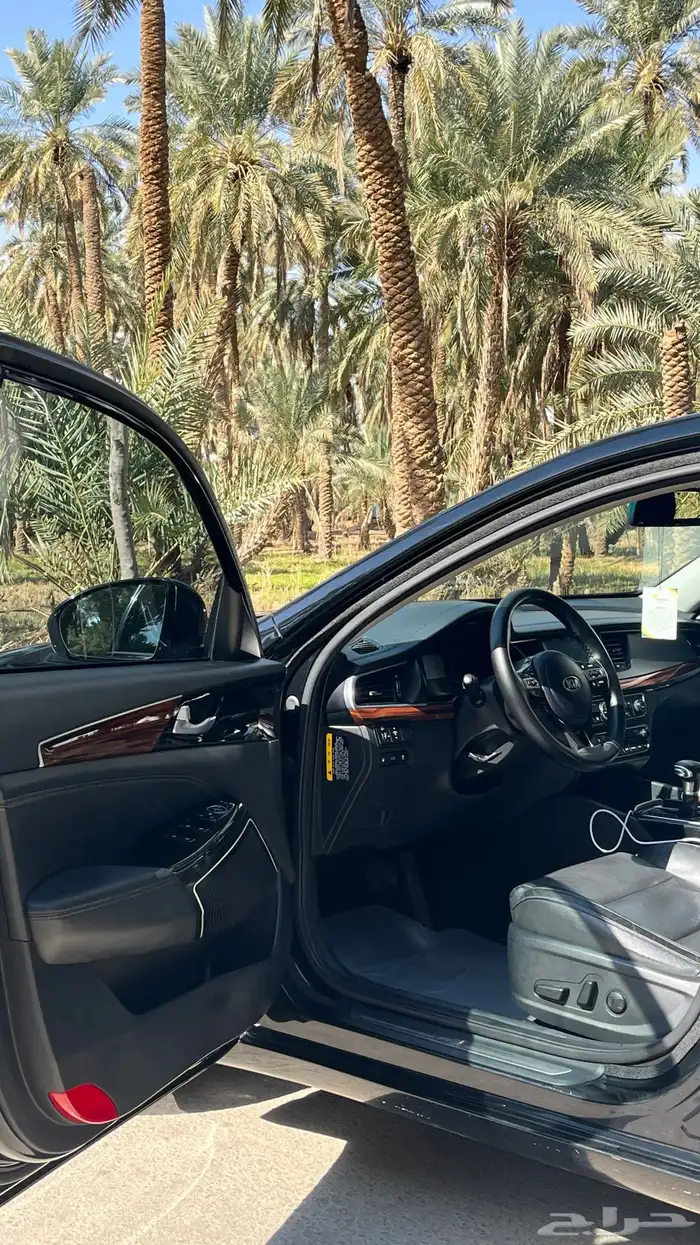 كادينزا ديزل 8