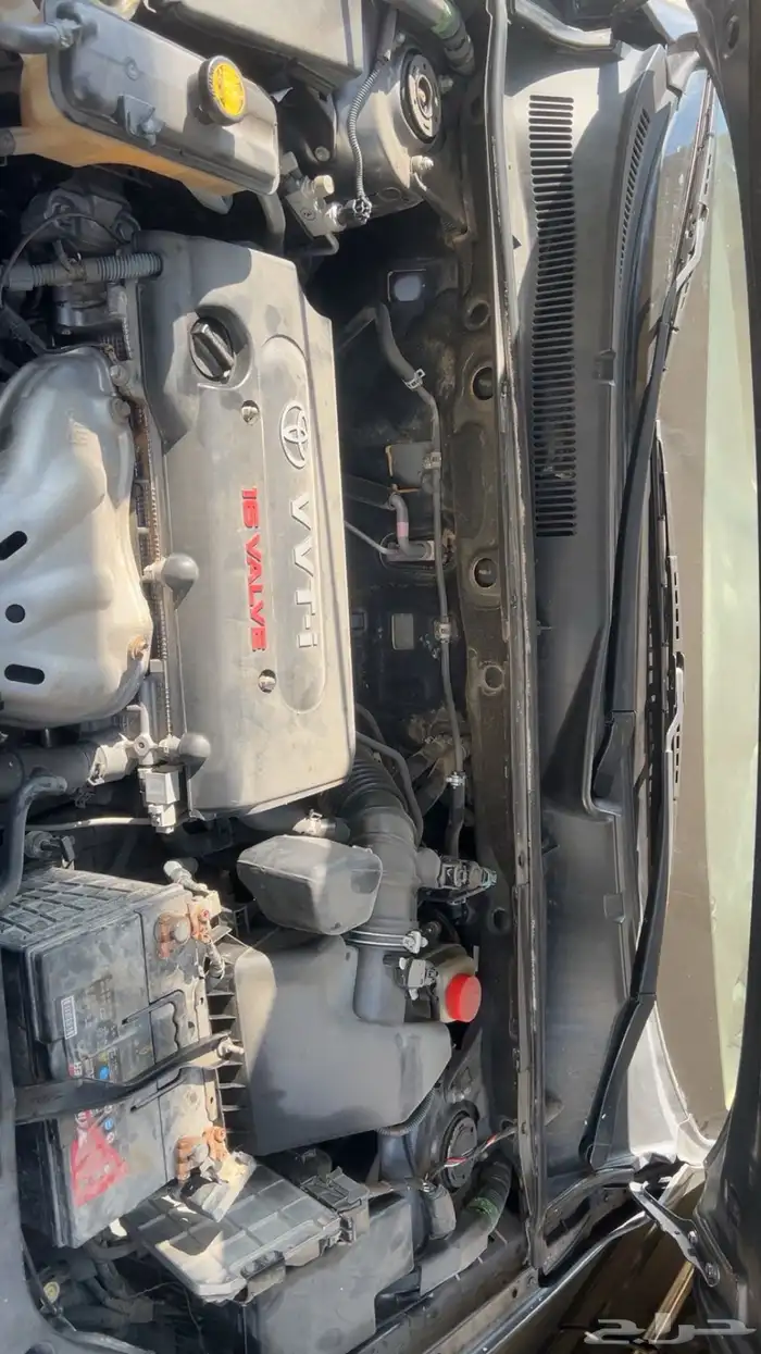 راف فور دبل 6