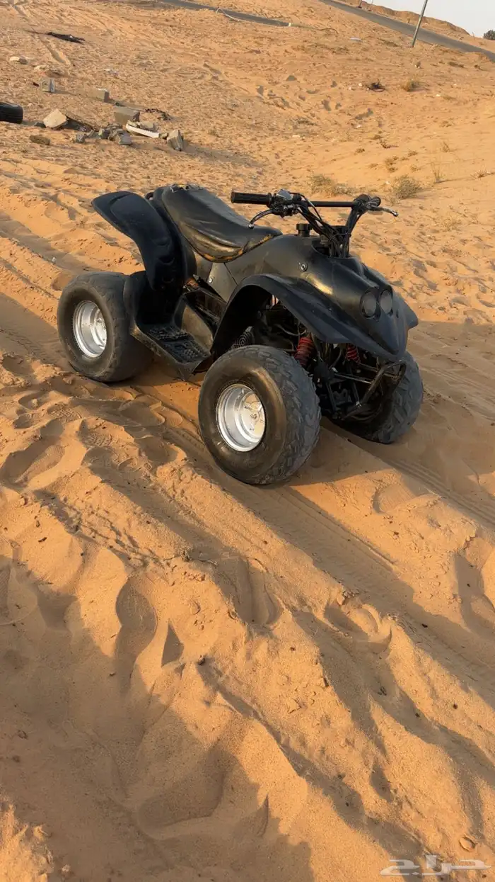 دباب جنان للبيع 3