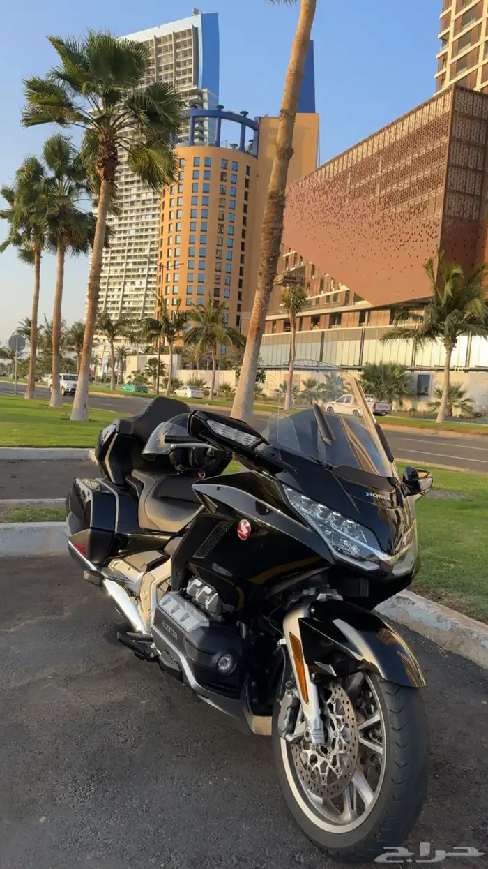 قولد وينق 2019 0