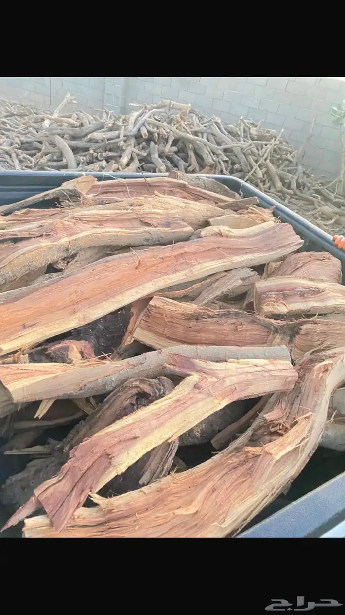 للبيع دينا جامبو 1