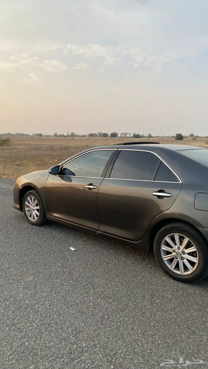 أوريون قراندي 2013 4