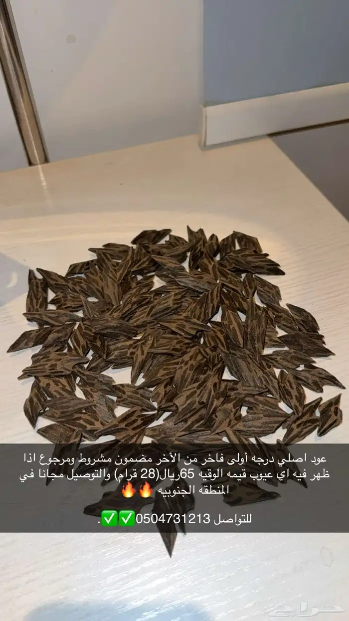 عوده اصليه درجه أولى مناسبه للعزايم الغير رسميه والزيارات 2