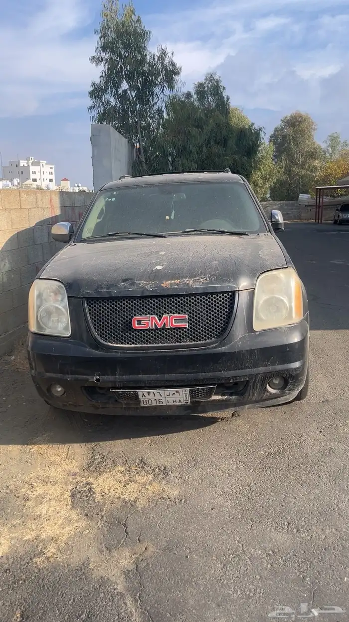 جمس دينالي شاص صغير 3