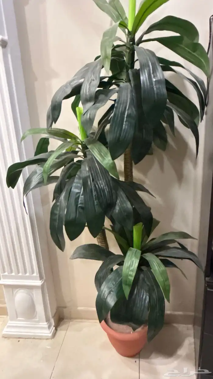 نخله صناعيه للبيع 0