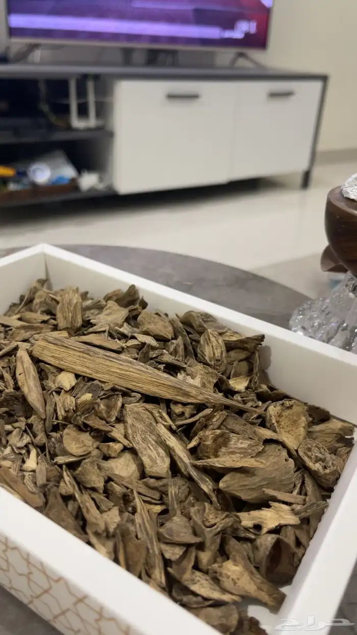 عود دقه موروكي حي سوبر مرتفع طبيعي 0