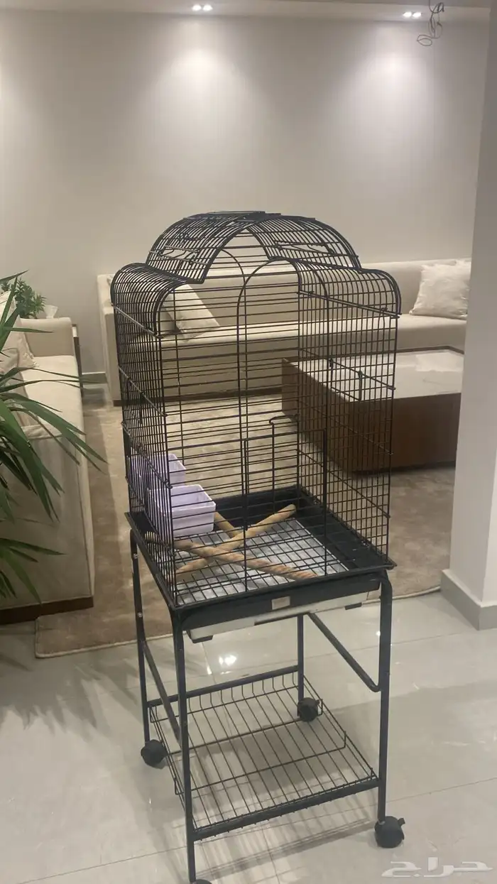 قفص كبير يصلح لجميع الطيور فيه فتحه من فوق و فيه كفرات 0