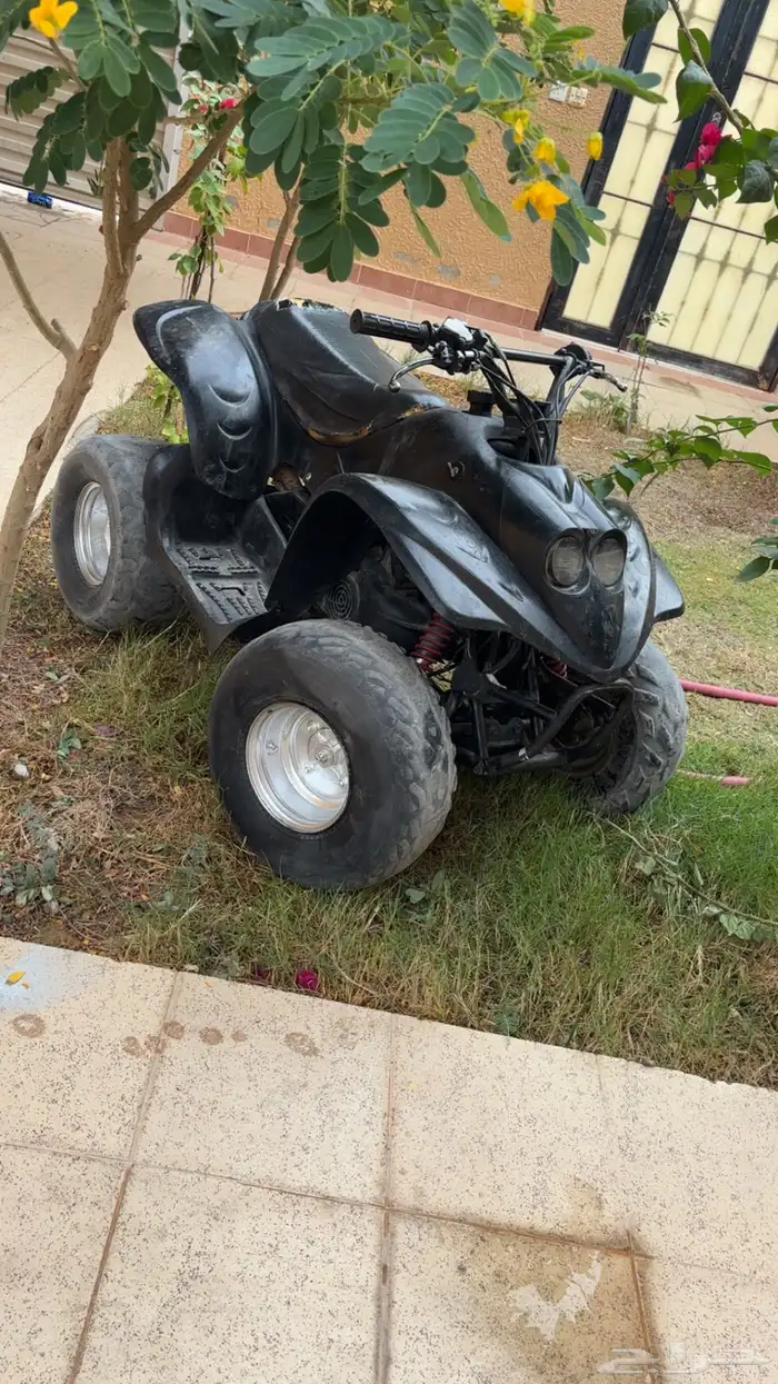 دباب جنان للبيع 1