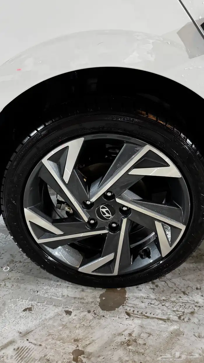 جنوط النترا 2025 2