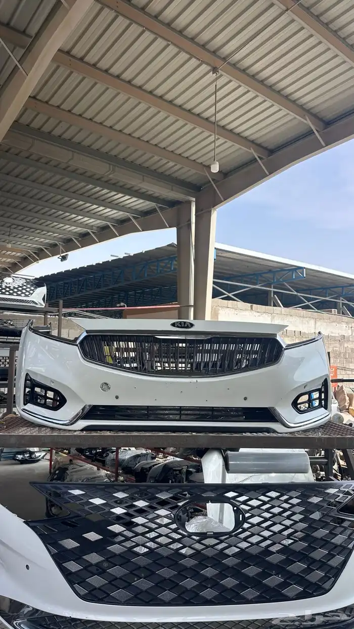 صدام كادينزا 2017 0