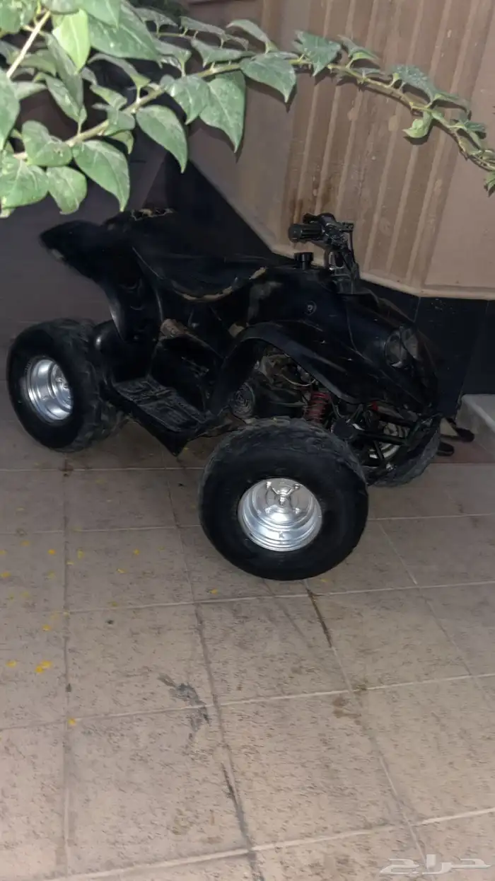 دباب جنان للبيع 4