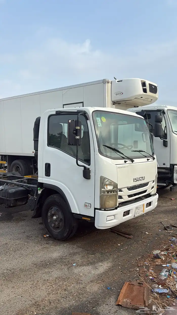 دينا ايسيزو2020 3