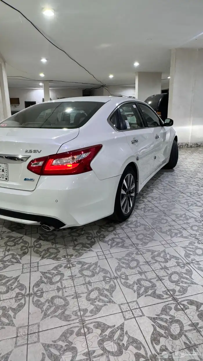 التيما نص فل 2017 5