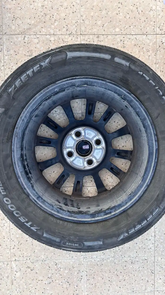 جنوط يارس 2021 وكاله 6