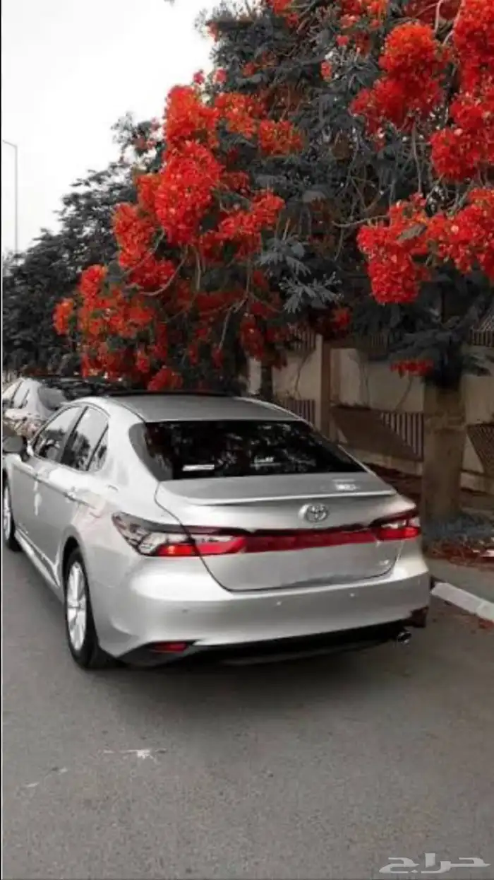 توصيل نازل إلى المدينه 0