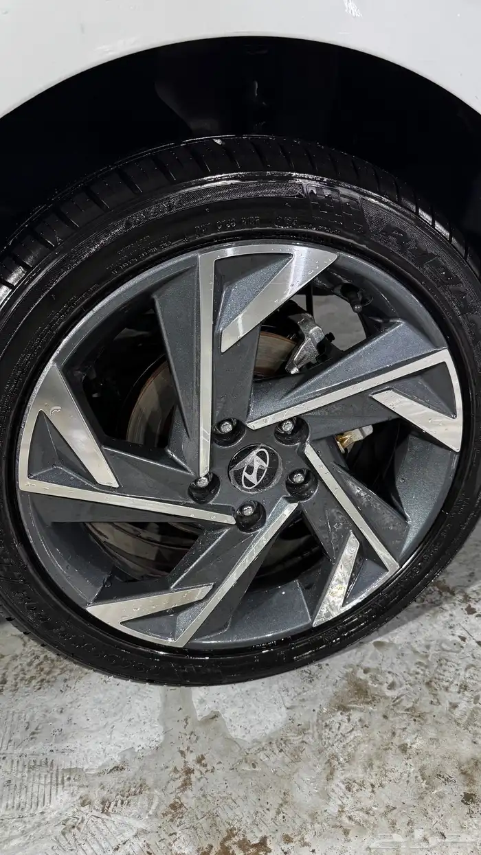 جنوط النترا 2025 0