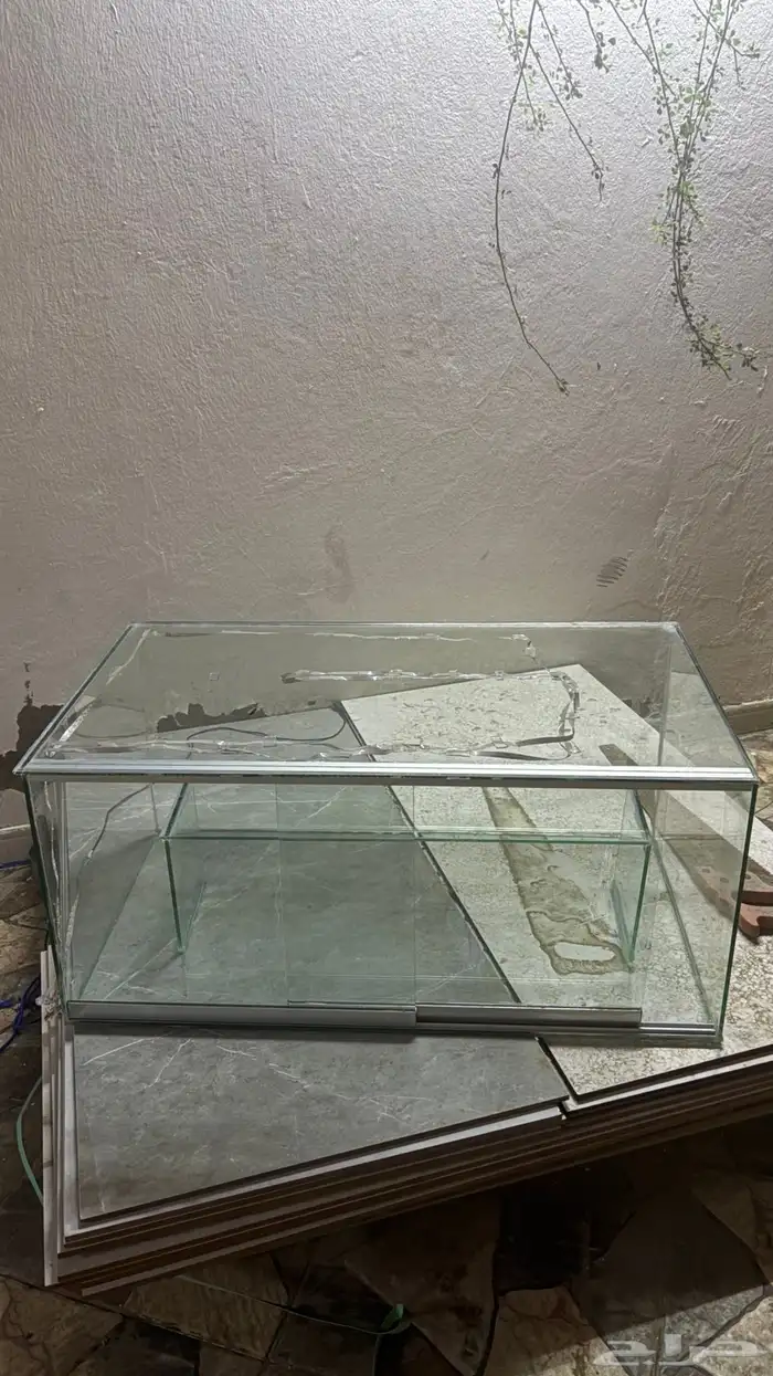 قزازة عرض ( حلى - تحف ) 0