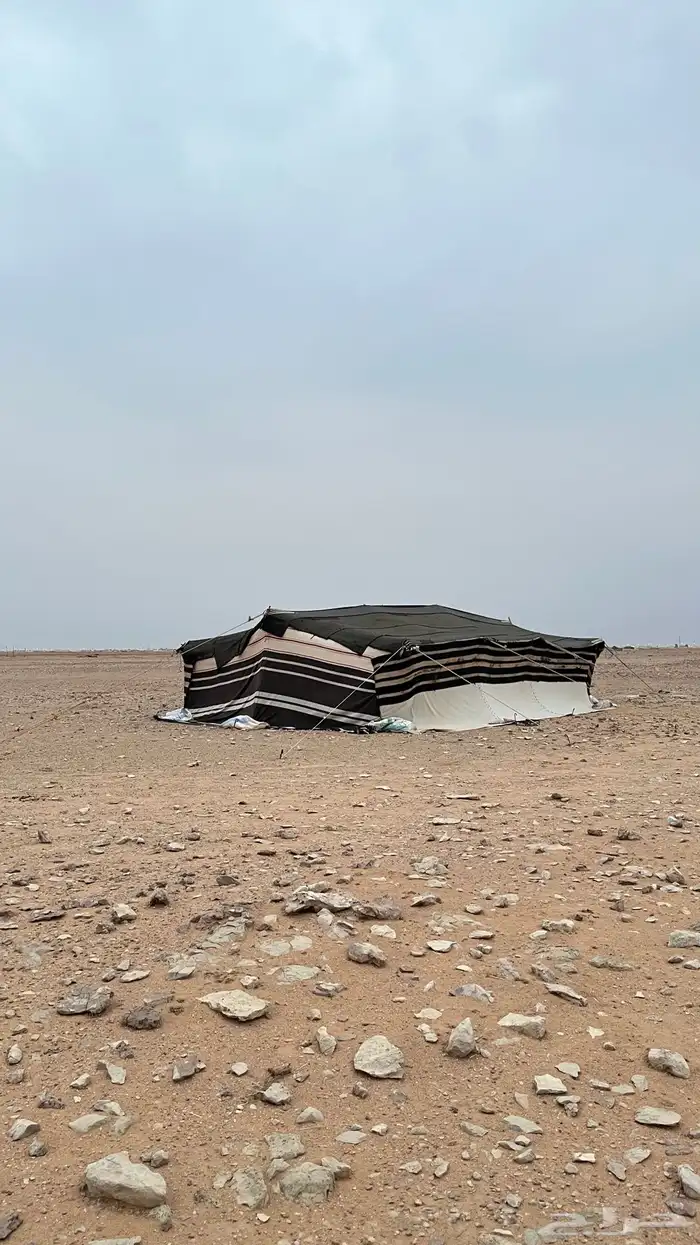 بيت شعر مقوران 1