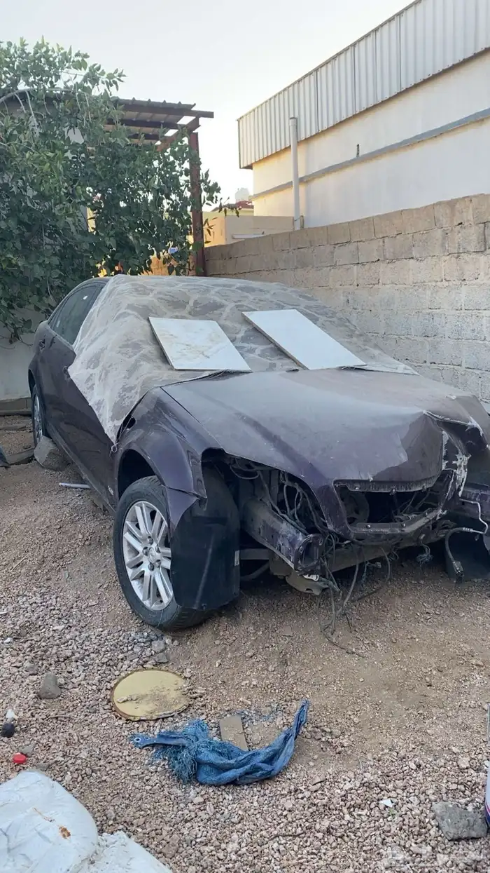 كابرس عنابي 2015 1