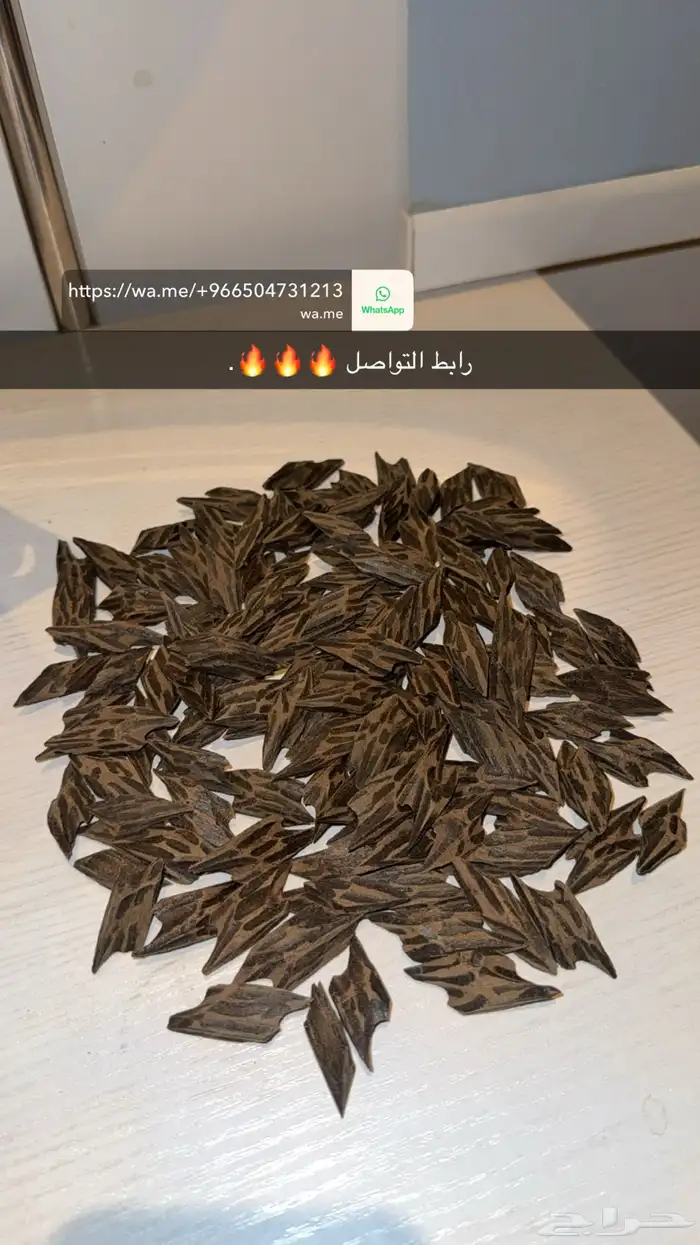 عوده اصليه درجه أولى مناسبه للعزايم الغير رسميه والزيارات 1