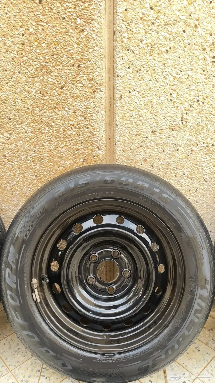 جنوط التيما ستاندر 1