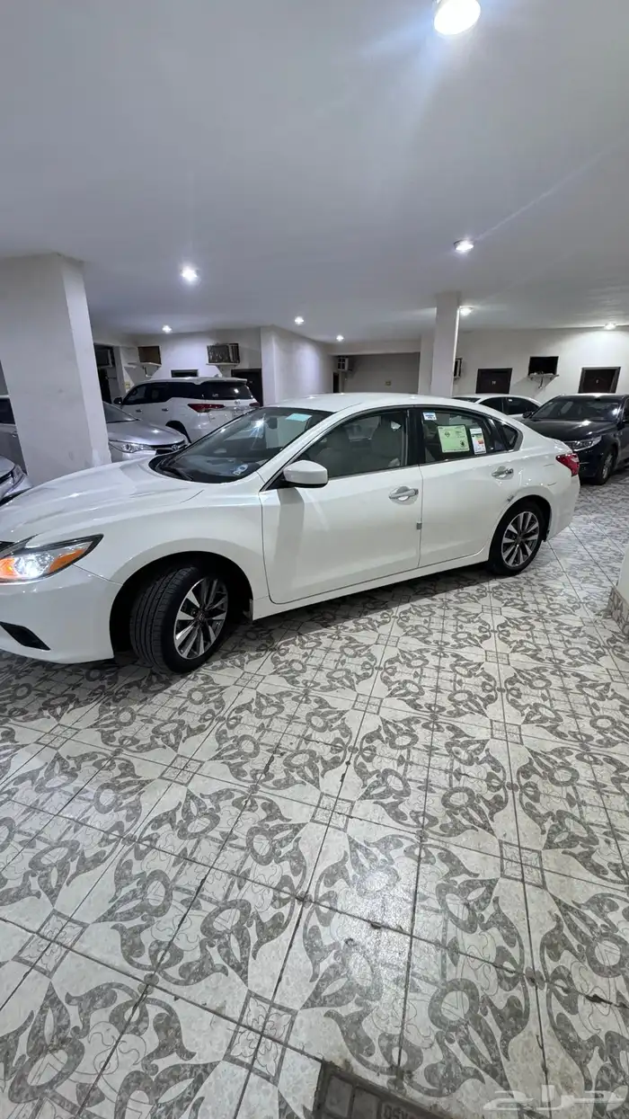 التيما نص فل 2017 2