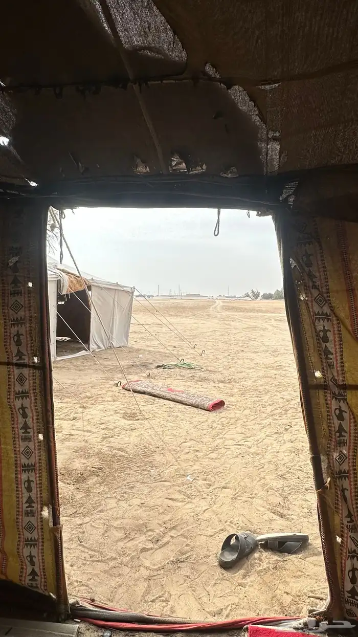 للبيع خيمه 4.6 2 غاط 8