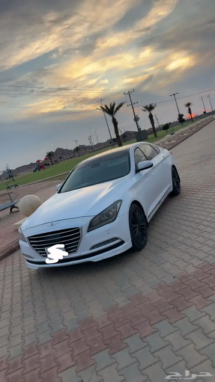 جنسس مديل 16 شرط من الصدم إلى اصدم 1