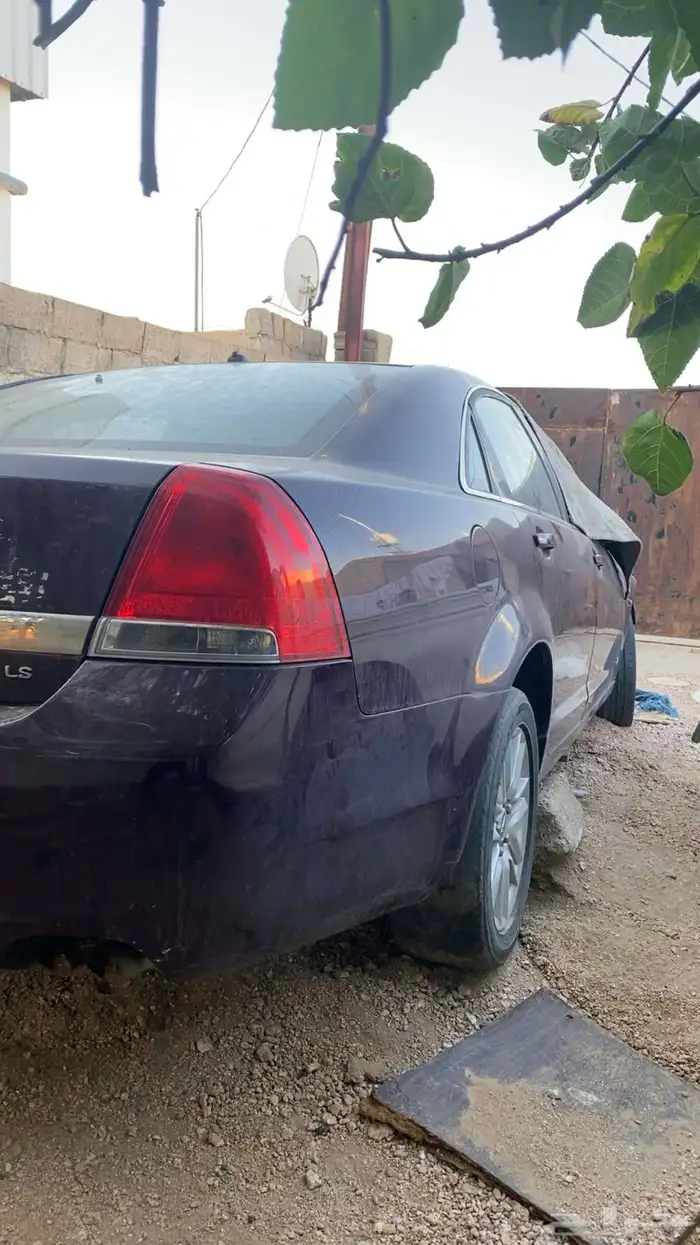 كابرس عنابي 2015 2