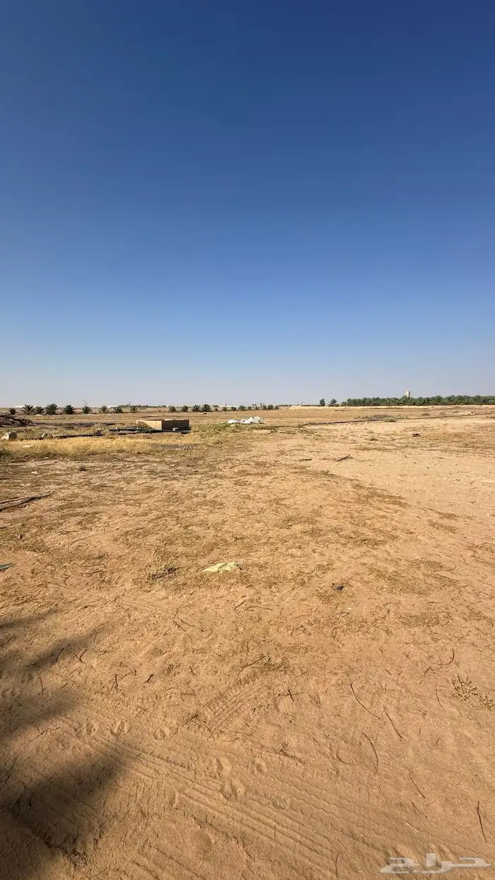 للبيع مزرعة وارض زراعية بالبدائع 3