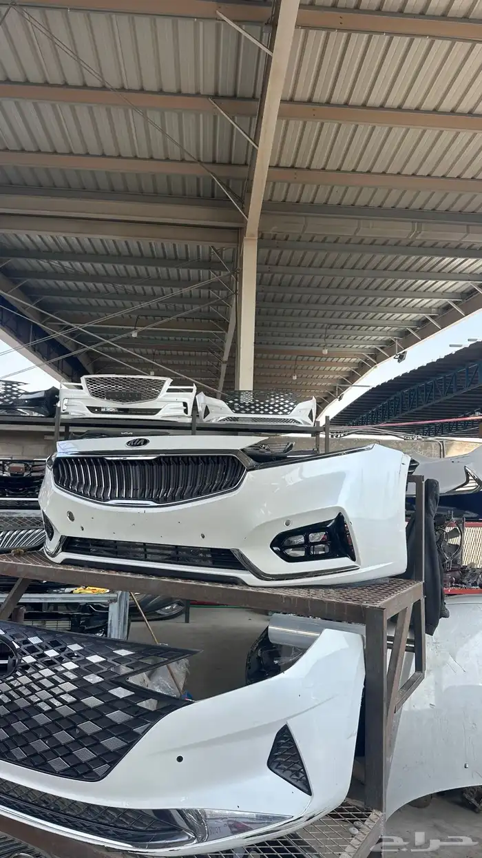 صدام كادينزا 2017 2