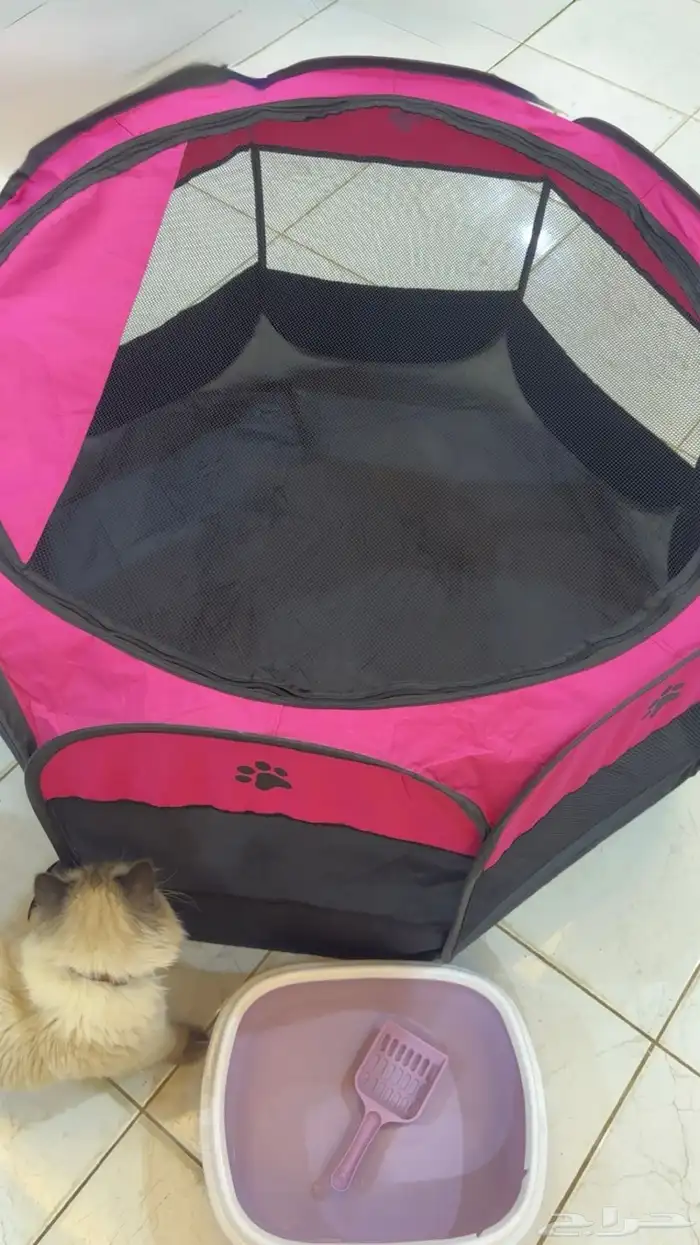 محبس قطط كبير   لتر بوكس صغير 1