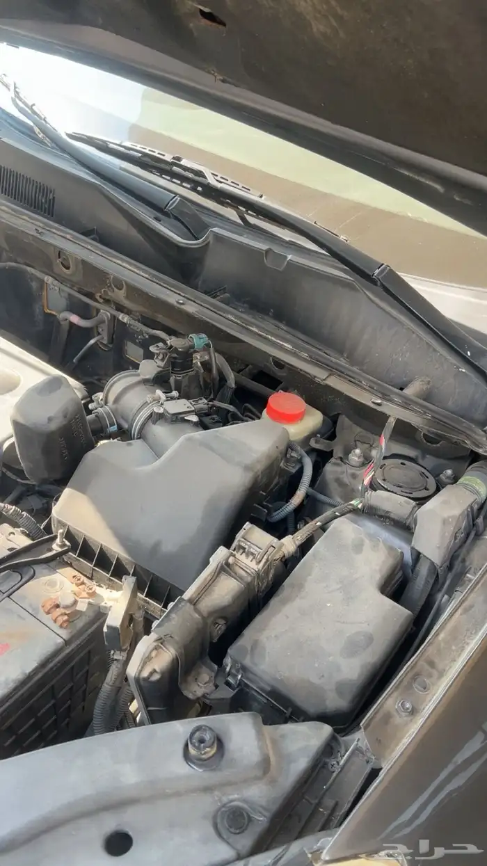 راف فور دبل 7