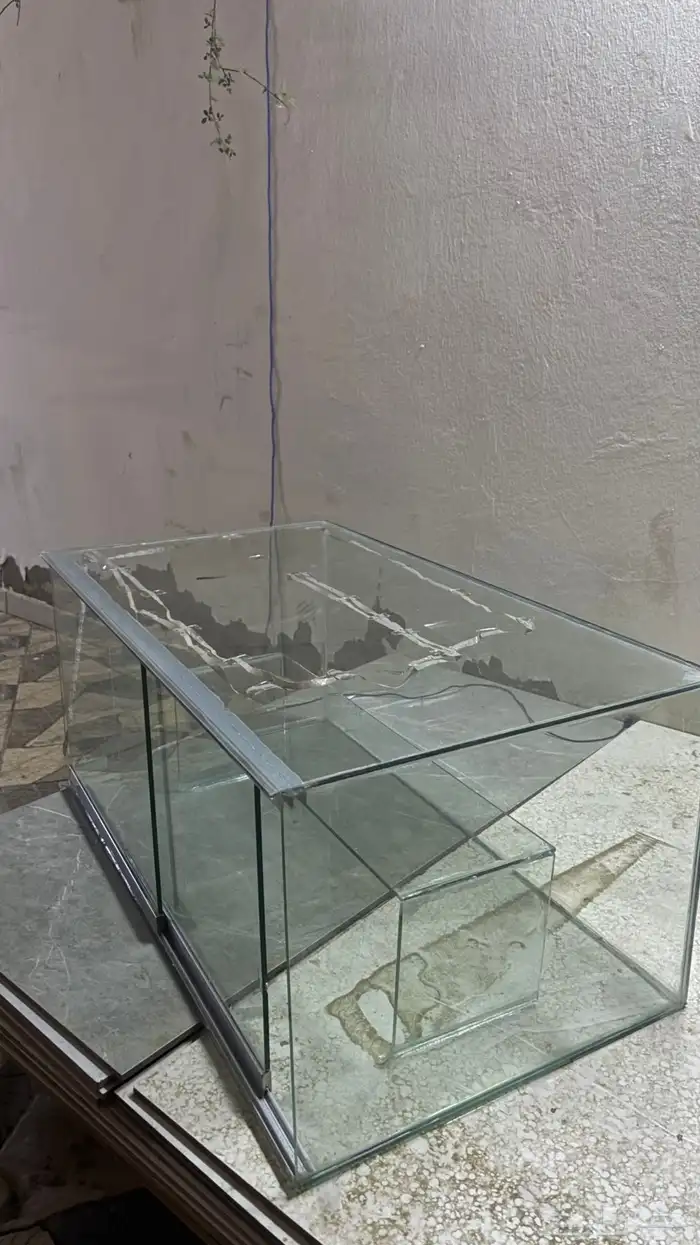 قزازة عرض ( حلى - تحف ) 1