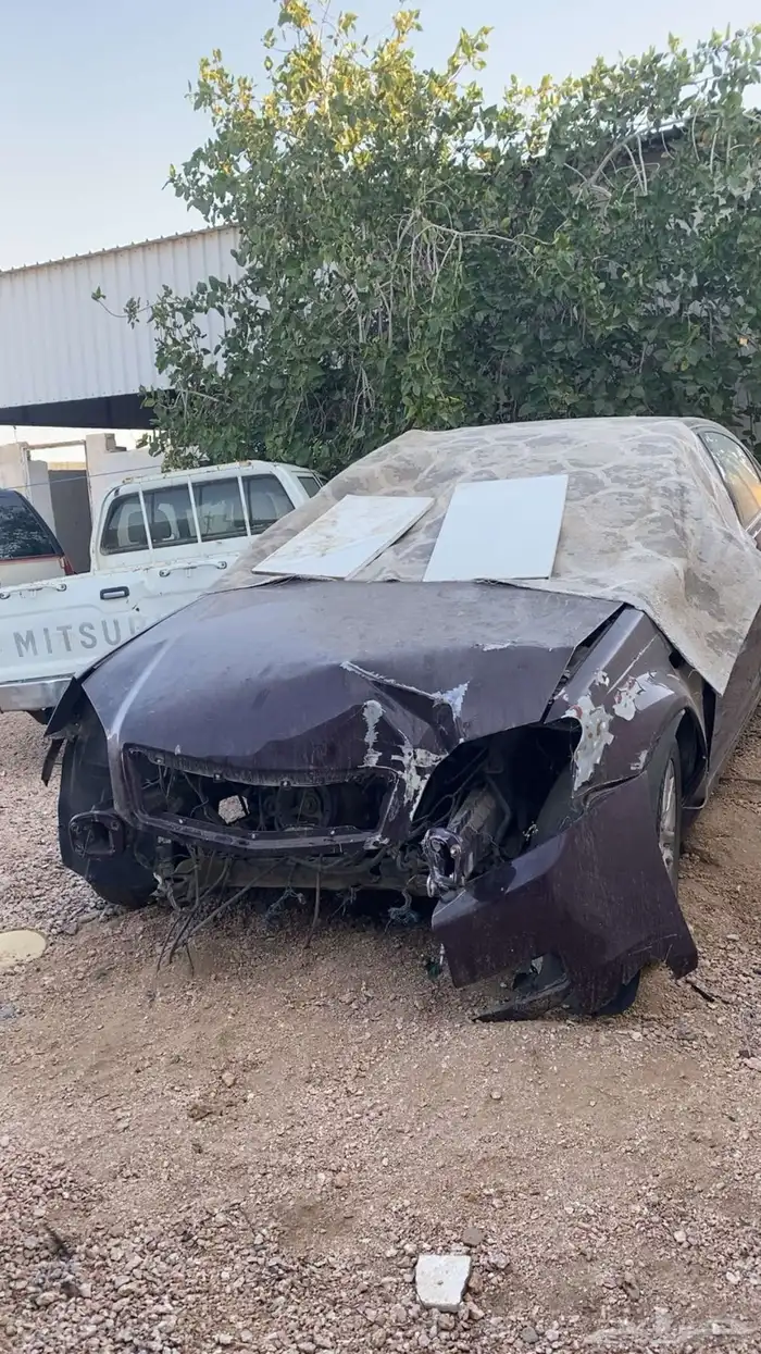 كابرس عنابي 2015 3