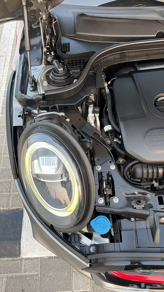 مني كوبر جون وورك 2020 65