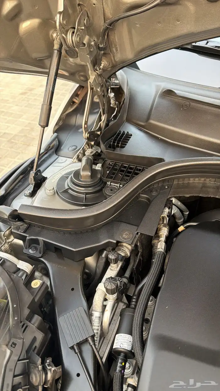 مني كوبر جون وورك 2020 63