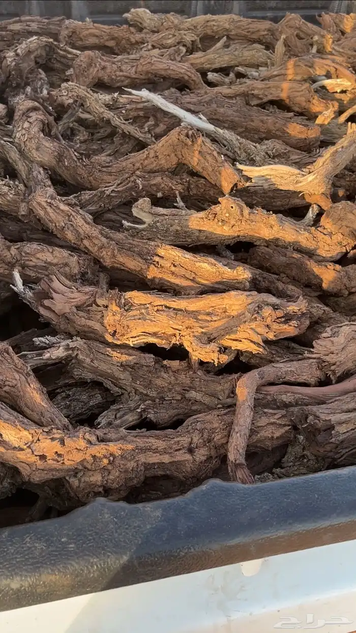 سلام عليكم الي يبي يدق اتصال 0