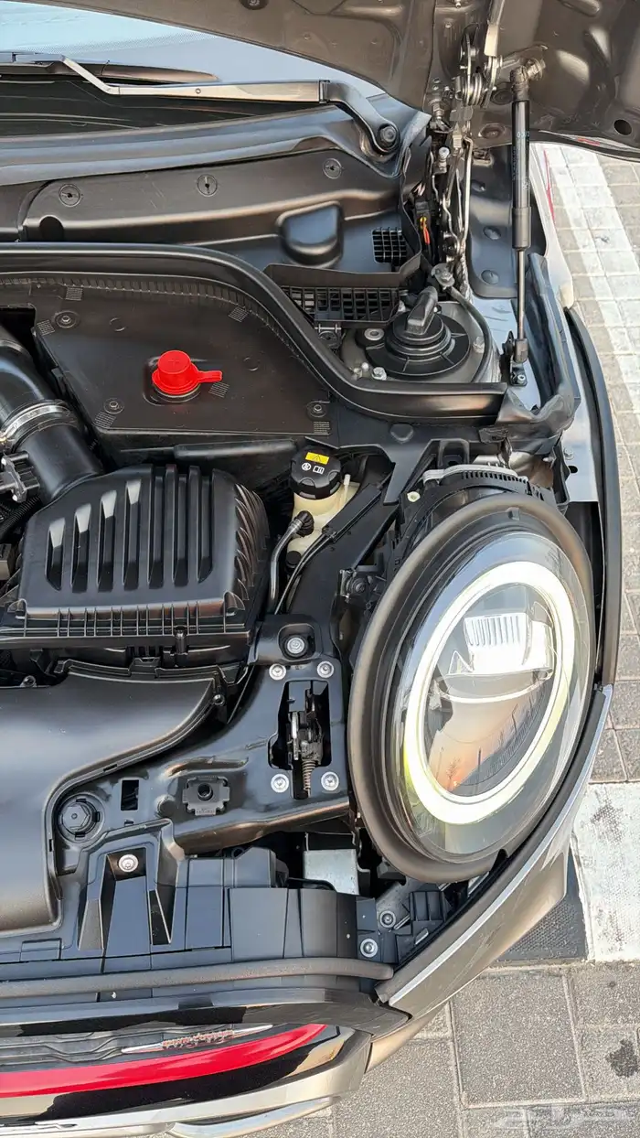 مني كوبر جون وورك 2020 64